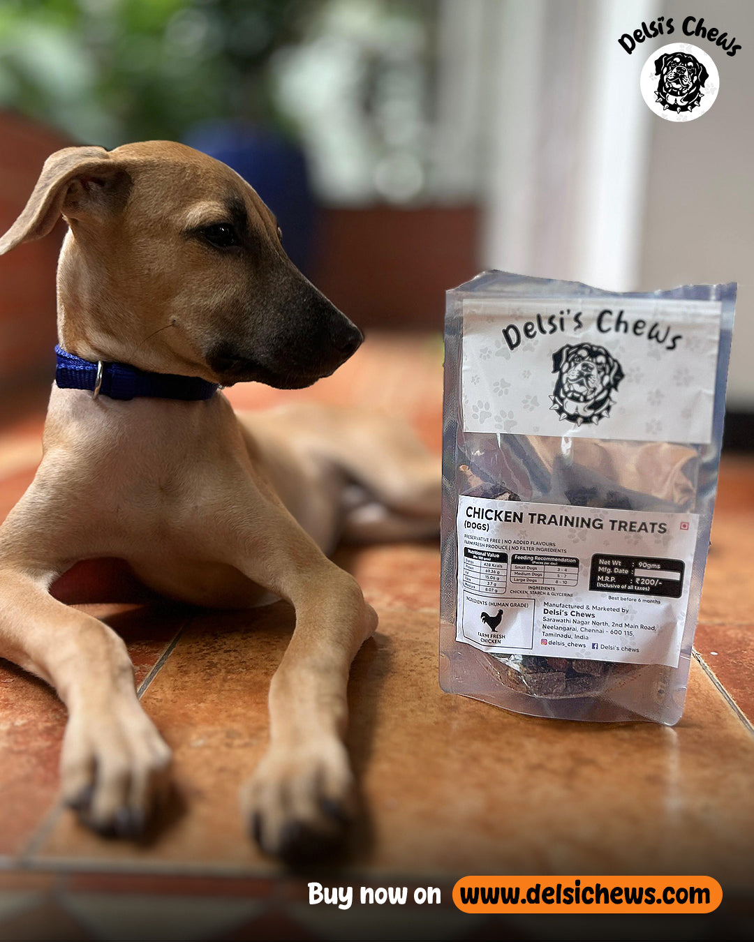 What Makes a Dog Treat Safe? A Pet Parent’s Guide to Healthy Snacking