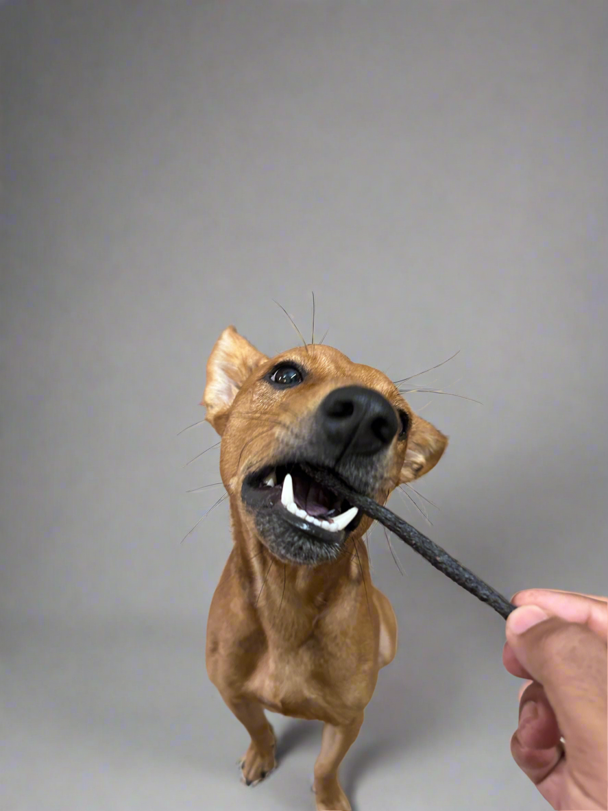 CHICKEN PROTEIN STICKS