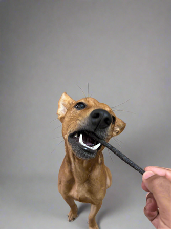 CHICKEN PROTEIN STICKS