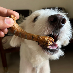 DEHYDRATED CHICKEN NECK